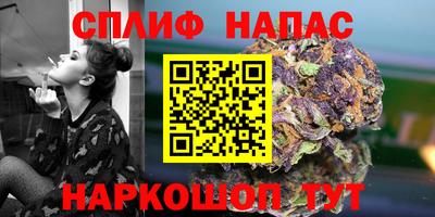индика Будённовск