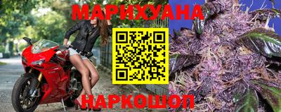 индика Будённовск