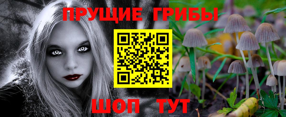 Минеральные Воды  Галлюциногенные грибы Magic Shrooms  Галлюциногенные грибы прущие грибы  Вход с VPN 